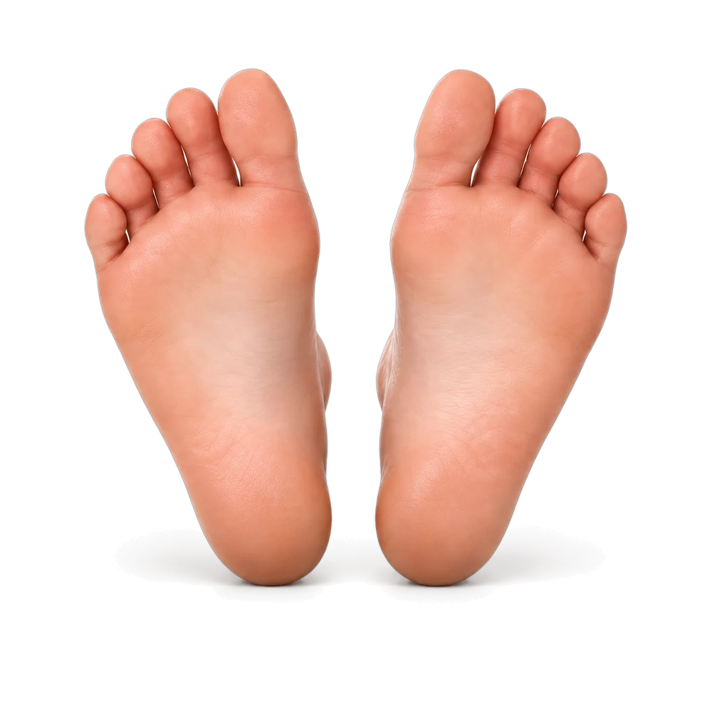 The soles of both feet