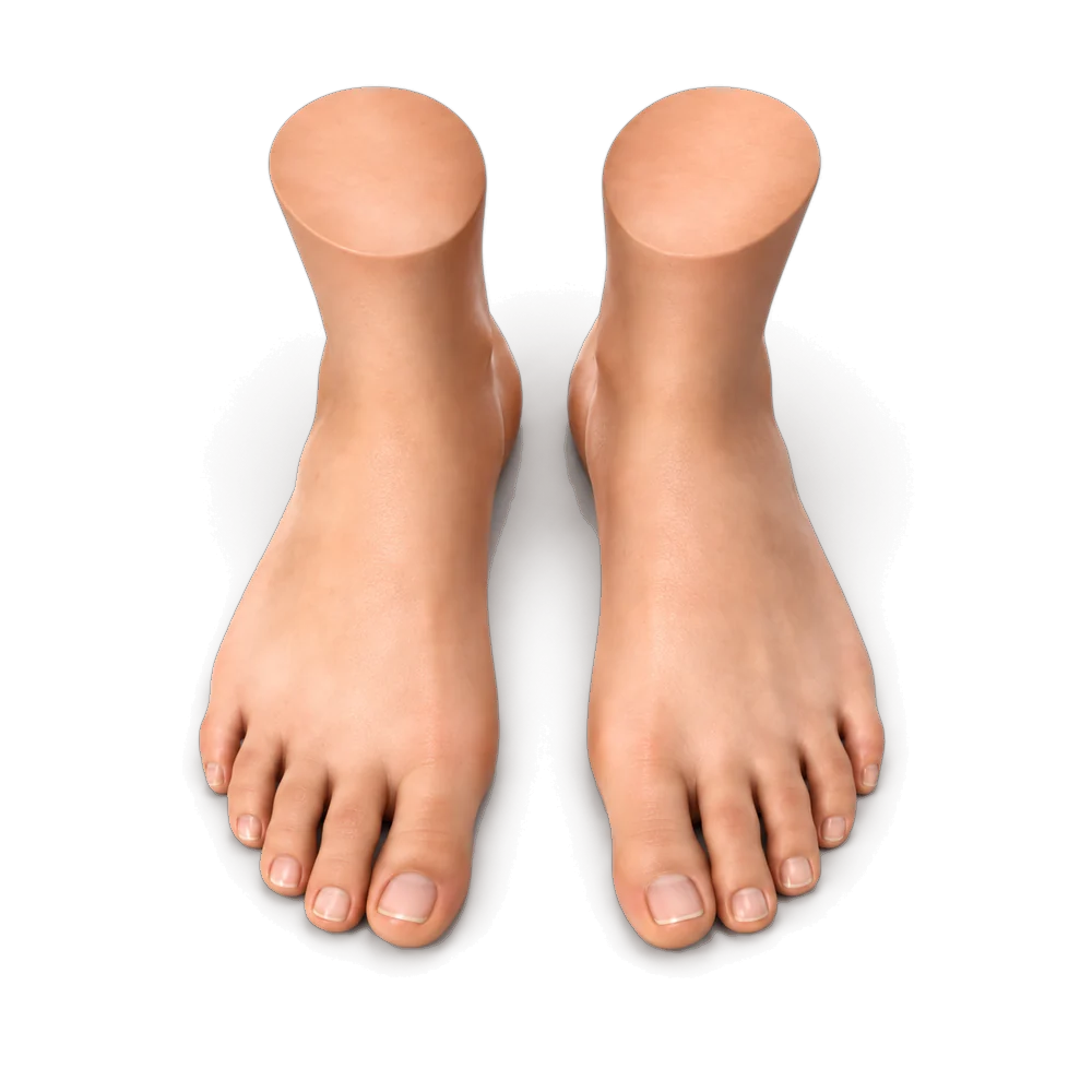 Both feet seen from above